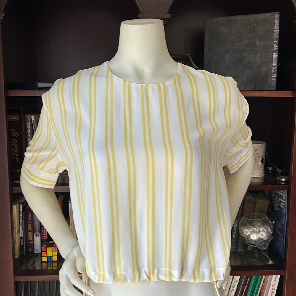 NWT Harper Wren Sheer Crop Top